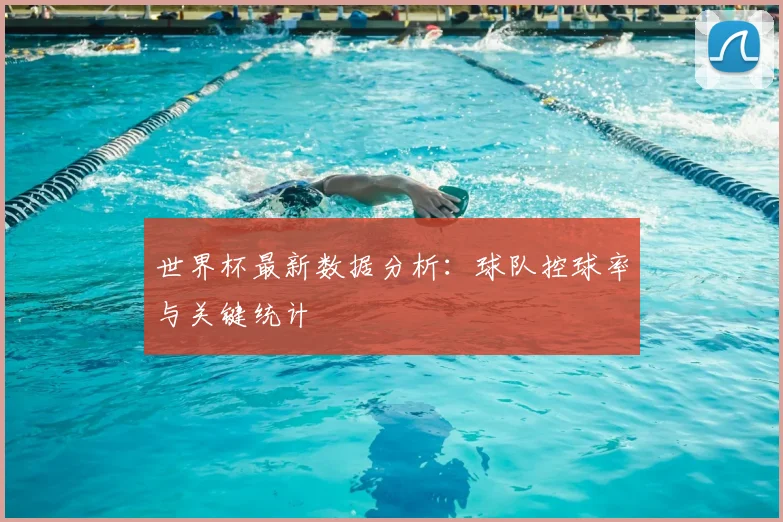 世界杯最新数据分析:球队控球率与关键统计